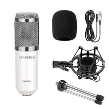Load image into Gallery viewer, Professional Studio Broadcast &amp; Recording BM-800 Condenser Microphone with Shock Mount