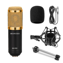 Load image into Gallery viewer, Professional Studio Broadcast &amp; Recording BM-800 Condenser Microphone with Shock Mount